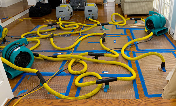 Professional Storm Water Damage Restoration technician working in Gateway, CO